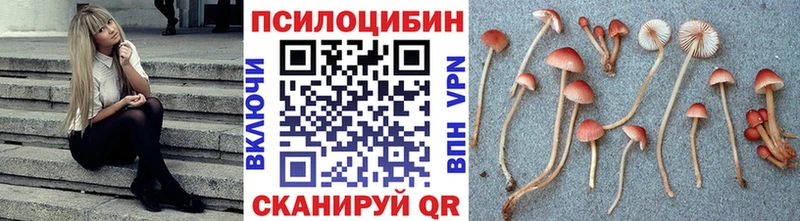 Псилоцибиновые грибы мухоморы  Ленск 